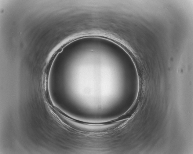 X0000087741510200705141212