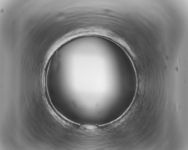X0000087741516200705141212