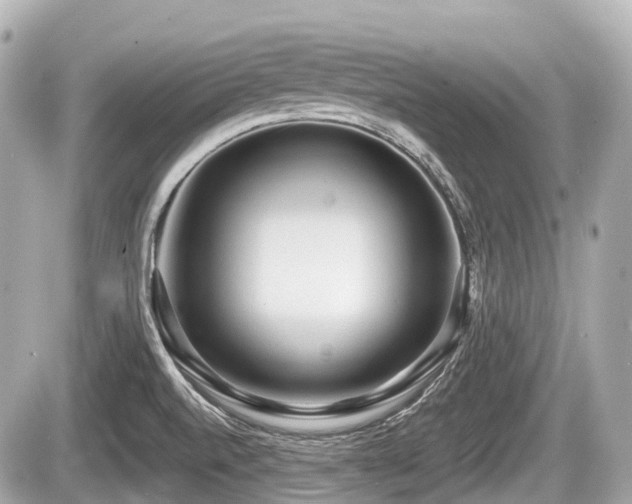 X0000087741520200705141212
