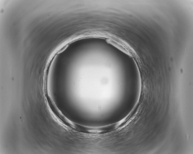 X0000087741528200705141212