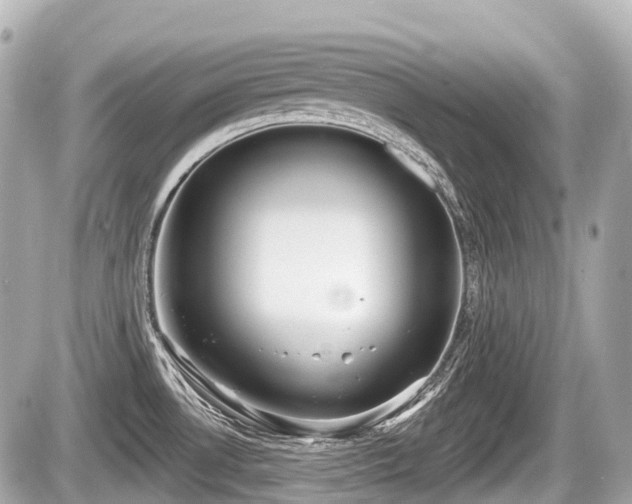 X0000087741530200705141212