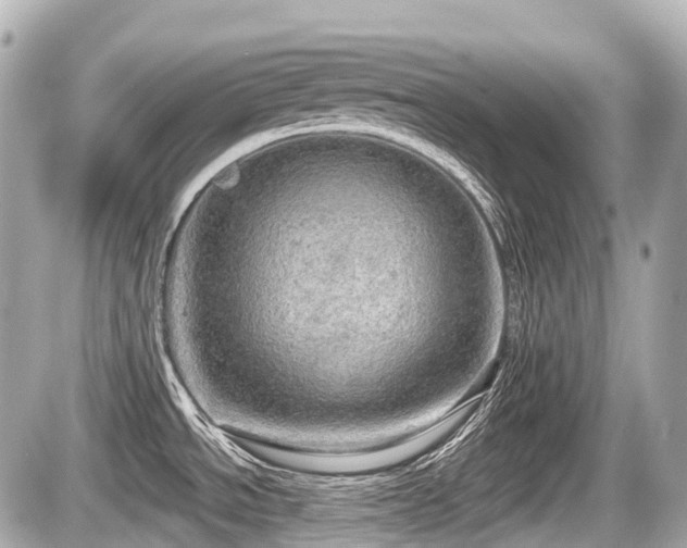 X0000087741534200705141212
