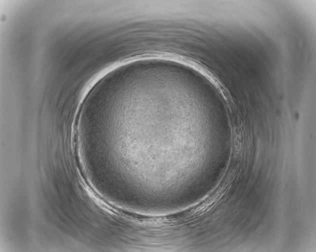 X0000087741535200705141212
