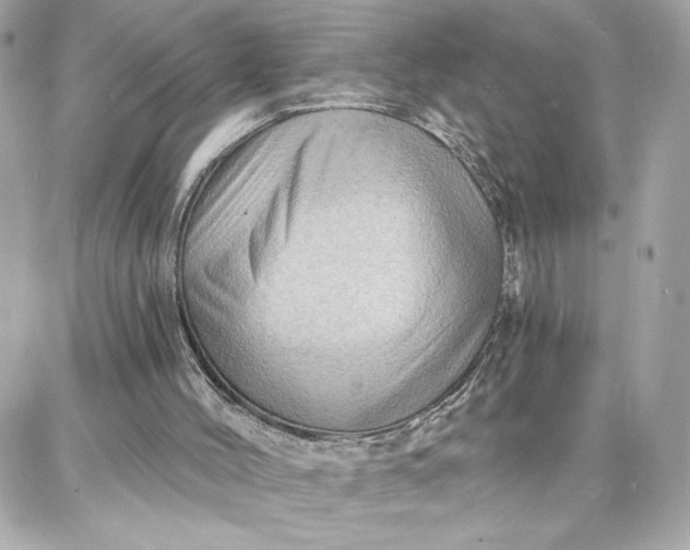X0000087740004200705211024