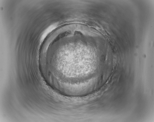 X0000087740006200705211024