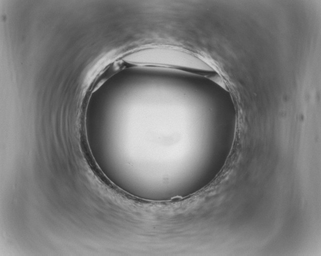 X0000087740007200705211024