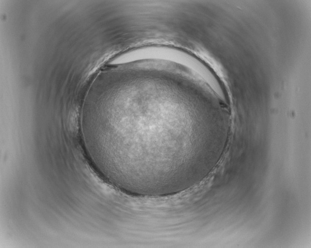 X0000087740009200705211024