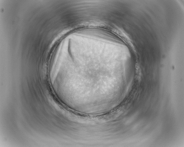X0000087740012200705211024