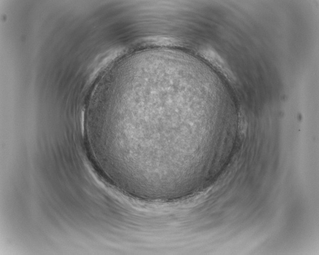 X0000087740014200705211024