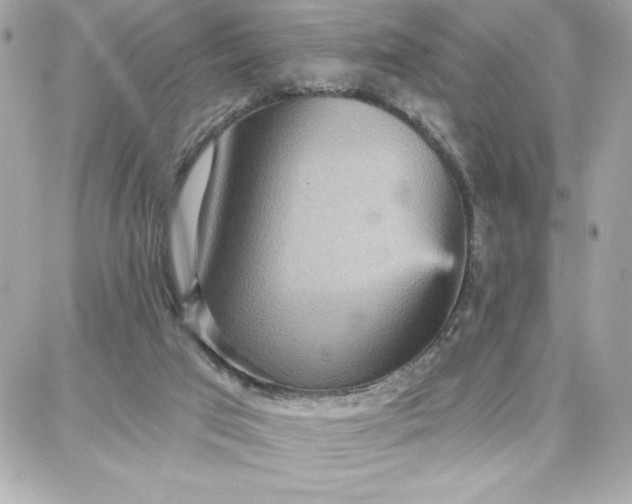 X0000087740017200705211024