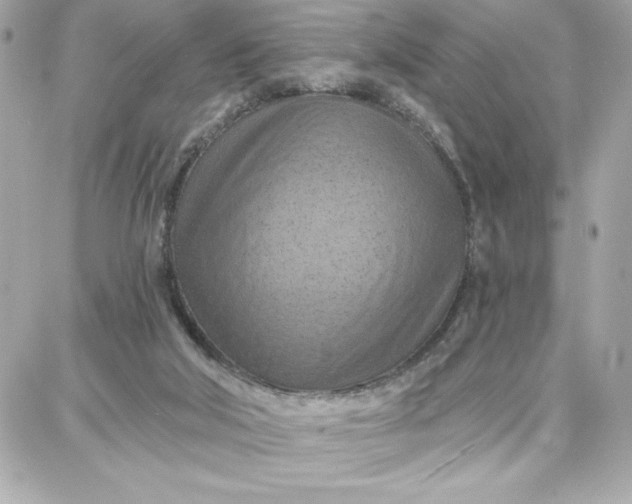 X0000087740018200705211024