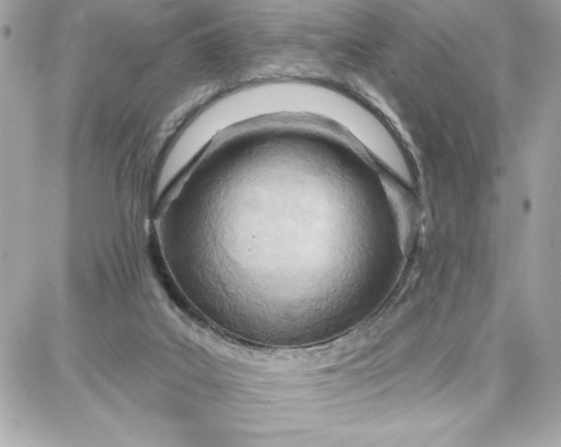 X0000087740019200705211024