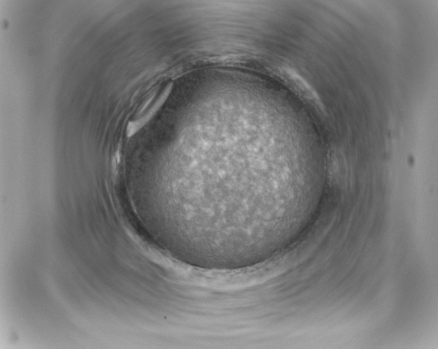 X0000087740026200705211023