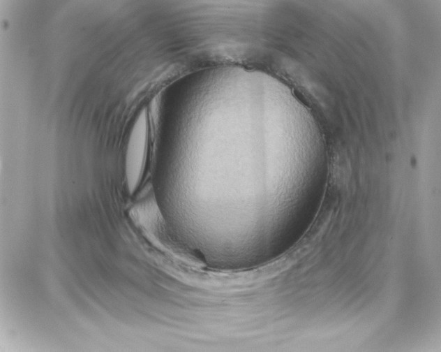 X0000087740027200705211023