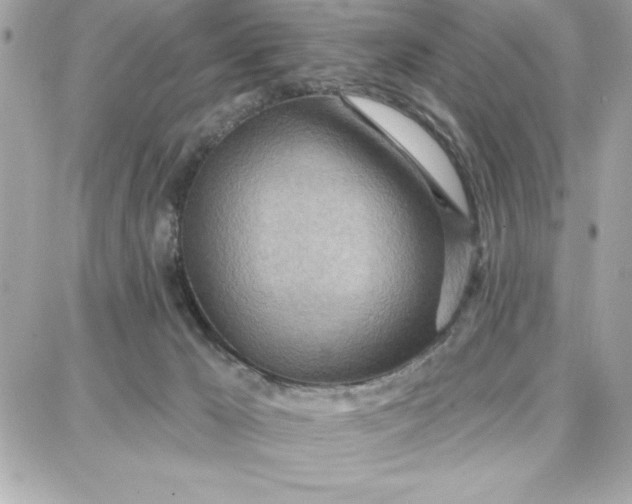 X0000087740029200705211023