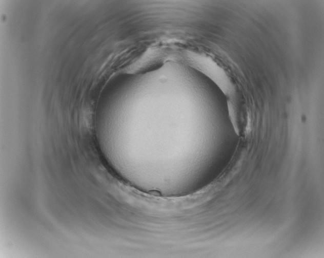 X0000087740035200705211023