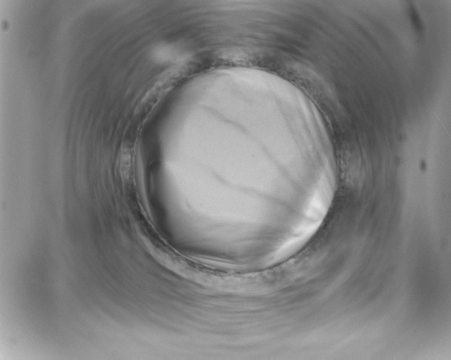 X0000087740036200705211023