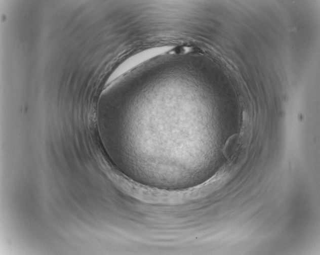 X0000087740048200705211023