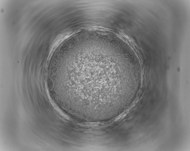 X0000087740049200705211022