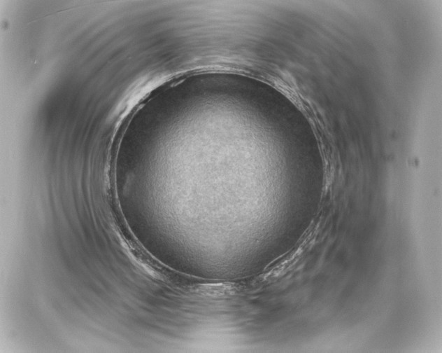 X0000087740050200705211022