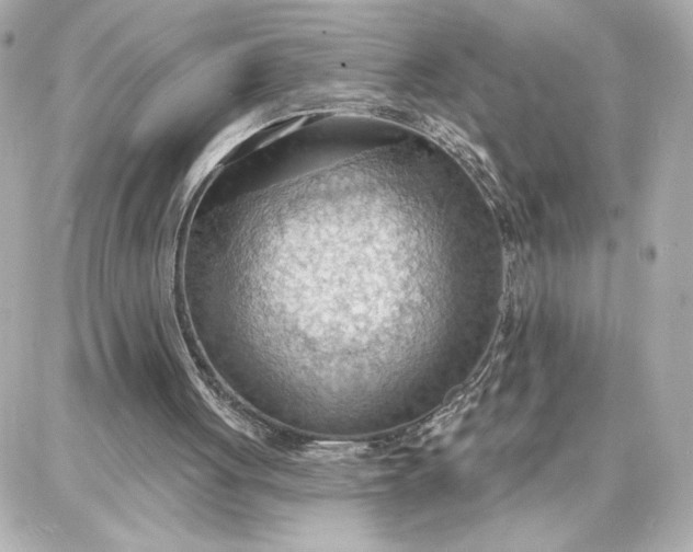 X0000087740051200705211022