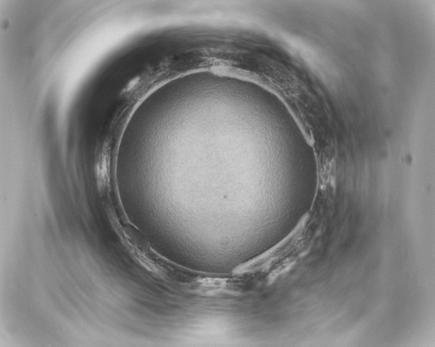 X0000087740052200705211022