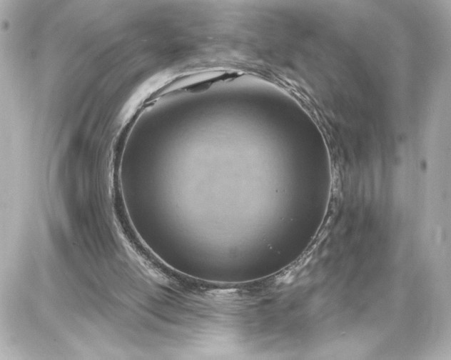 X0000087740054200705211022