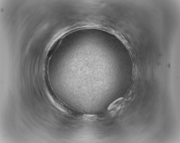 X0000087740055200705211022