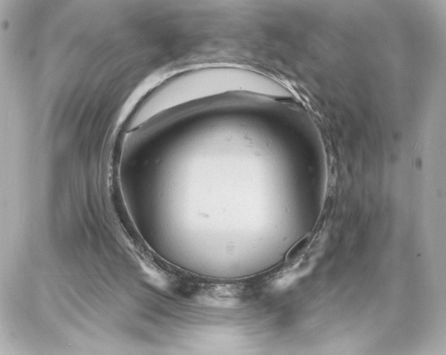 X0000087740056200705211022