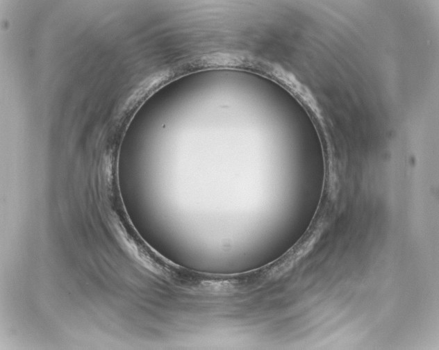 X0000087740057200705211022