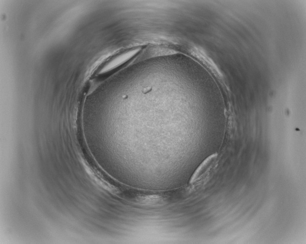 X0000087740058200705211022