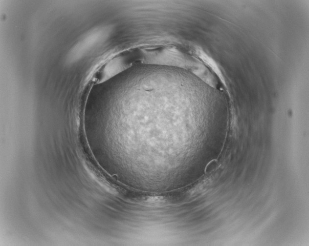 X0000087740059200705211022