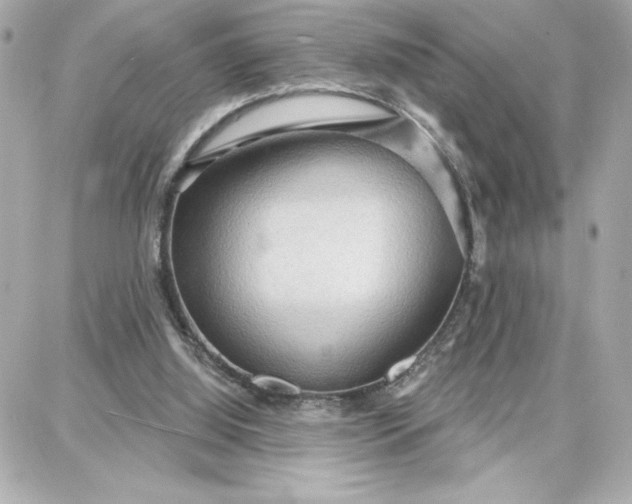 X0000087740060200705211022