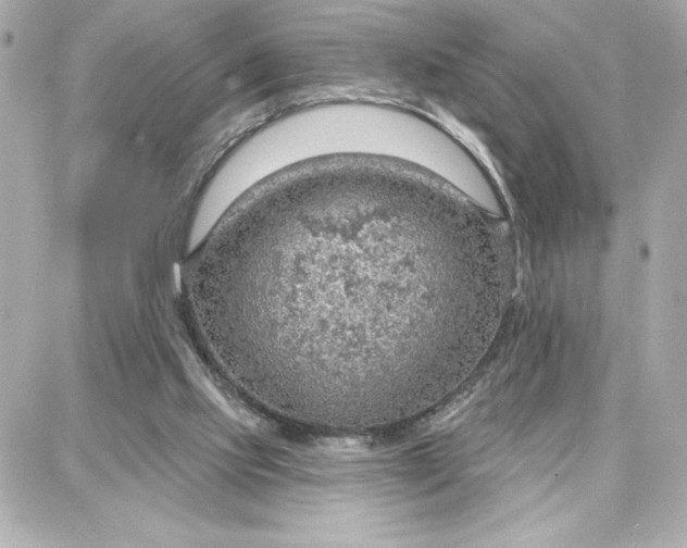 X0000087740061200705211022