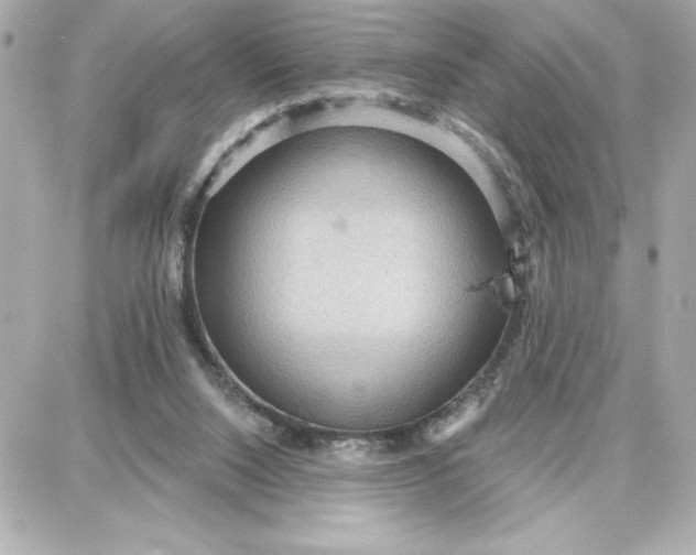 X0000087740064200705211023