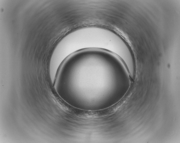 X0000087740065200705211023