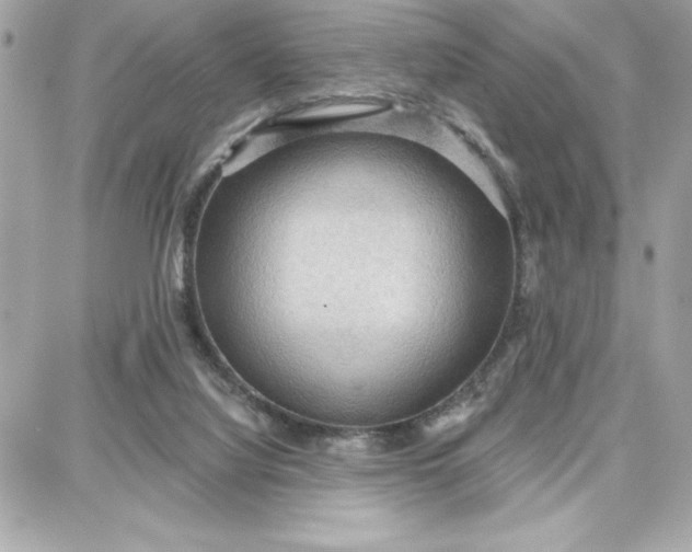 X0000087740068200705211023