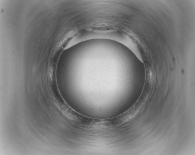 X0000087740072200705211023