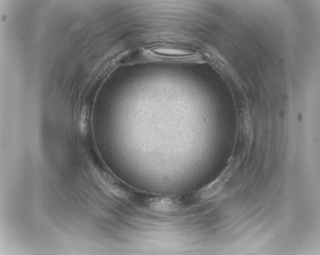 X0000087740074200705211023