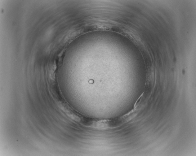 X0000087740078200705211023