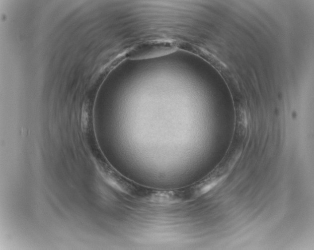 X0000087740080200705211023