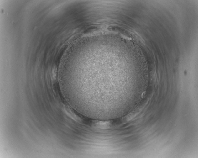 X0000087740081200705211023