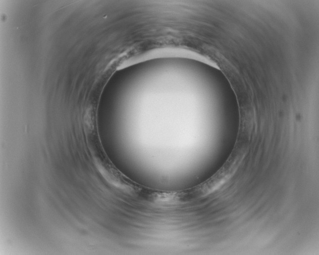 X0000087740088200705211023
