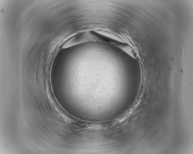 X0000087740097200705211022