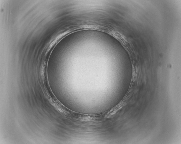 X0000087740098200705211022