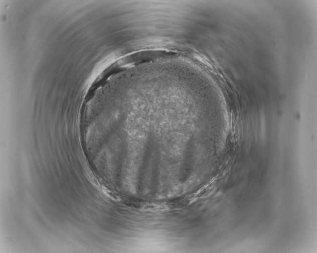 X0000087740099200705211022