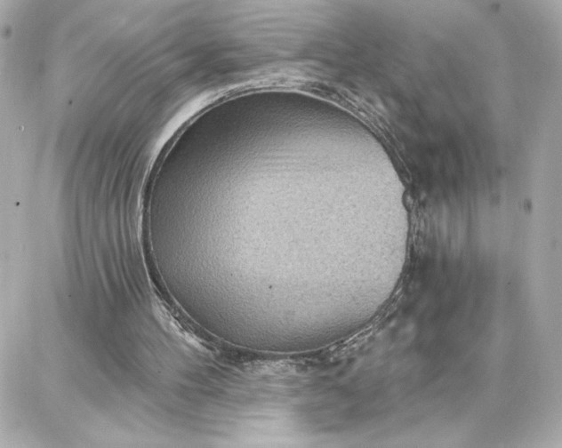 X0000087740100200705211022