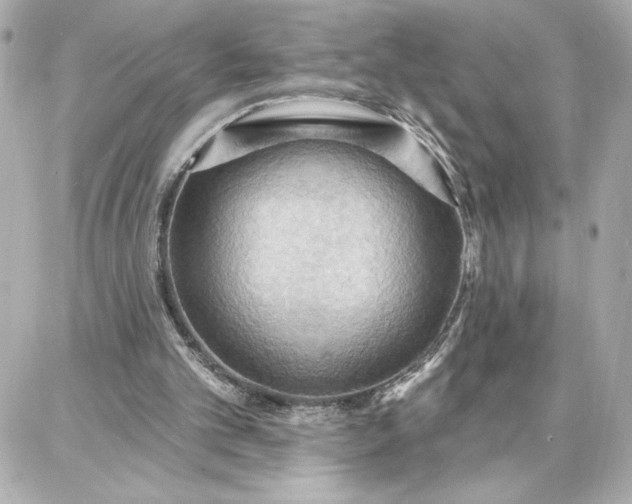 X0000087740101200705211022