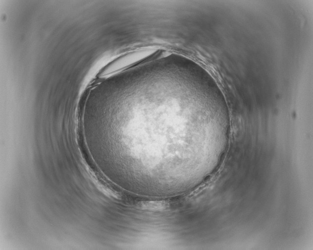 X0000087740102200705211022