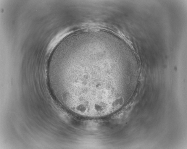 X0000087740103200705211022